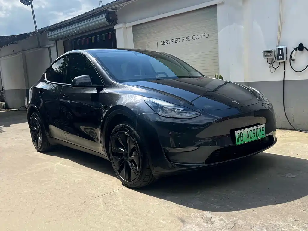 Tesla Model Y — фото 3