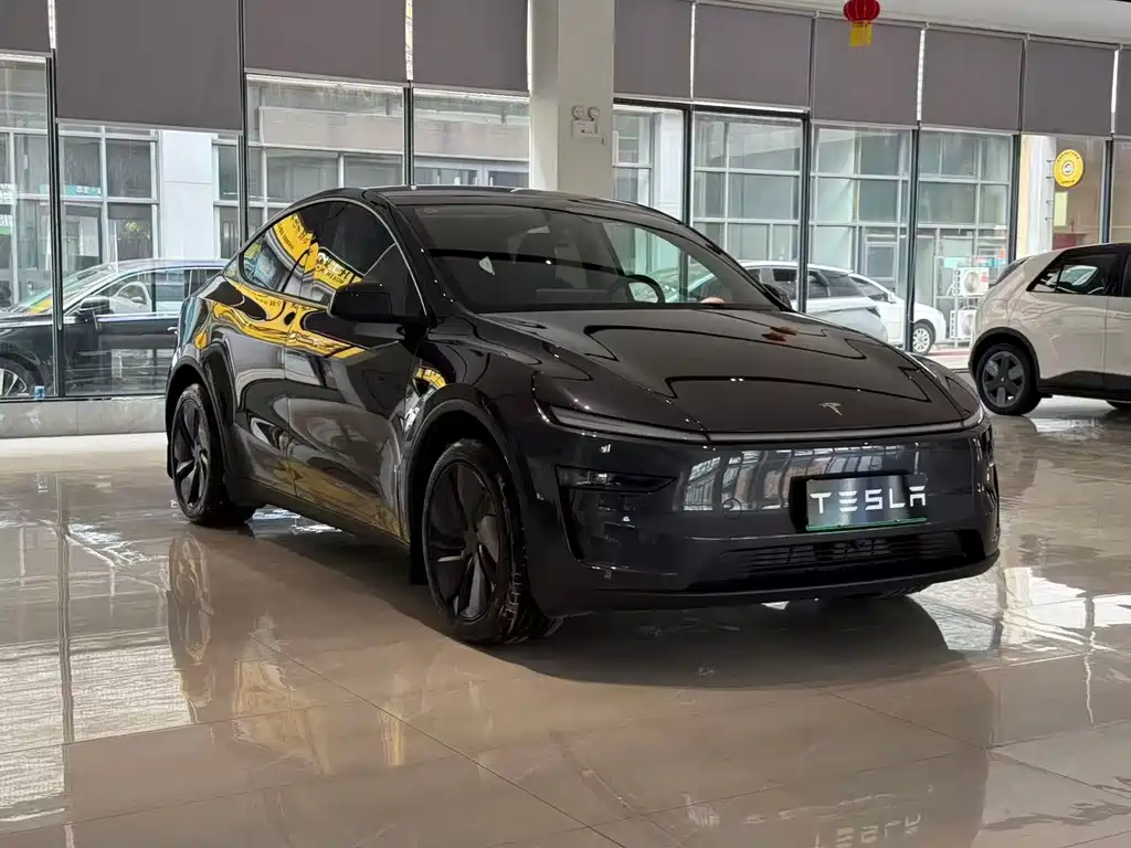 Tesla Model Y — фото 3