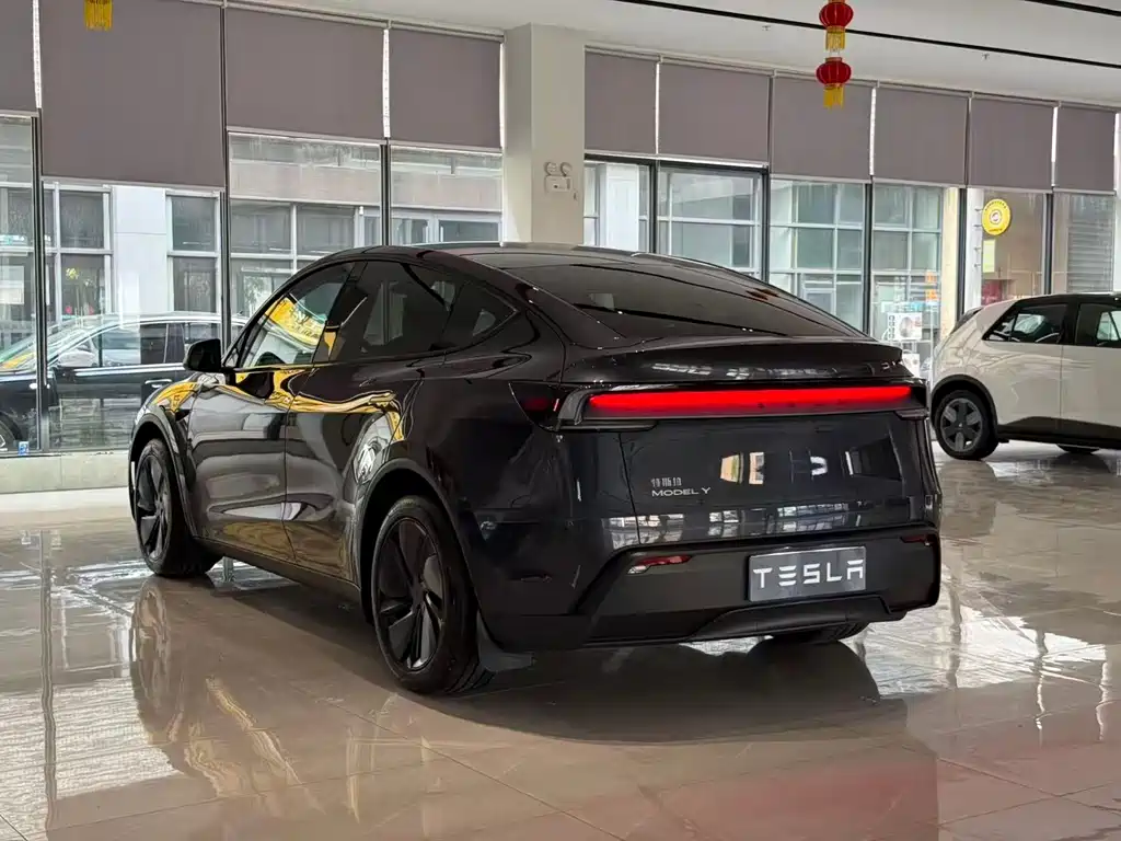 Tesla Model Y — фото 9
