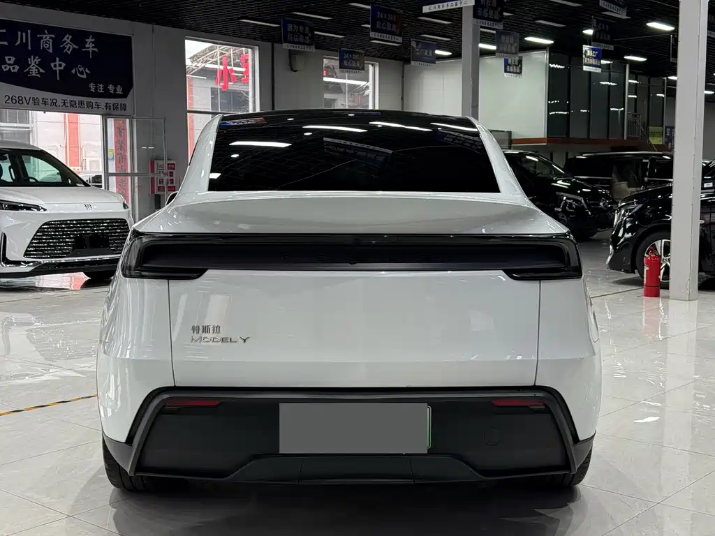 Tesla Model Y — фото 2