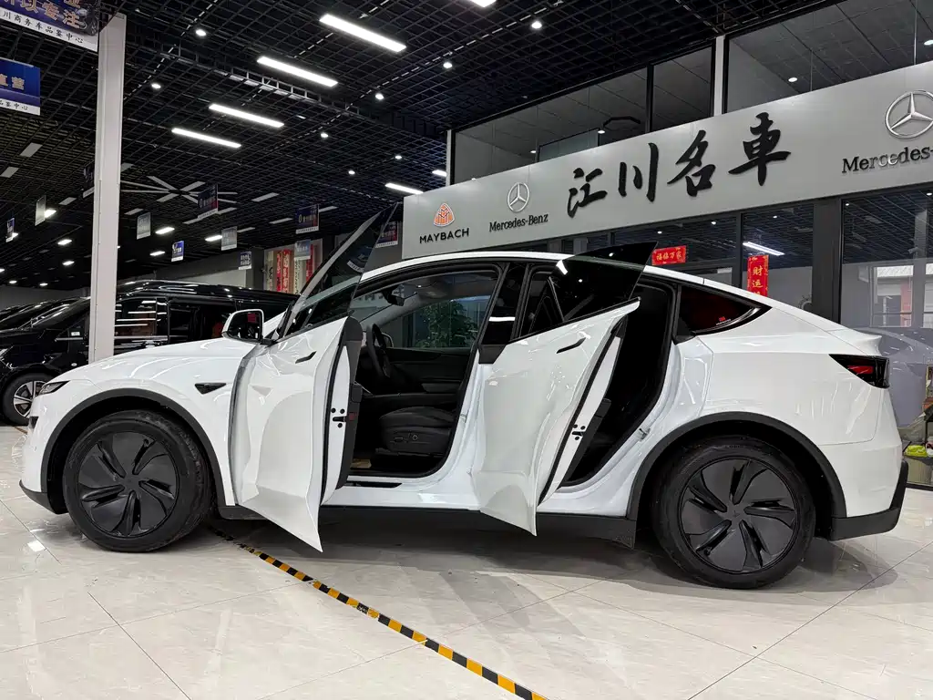 Tesla Model Y — фото 11