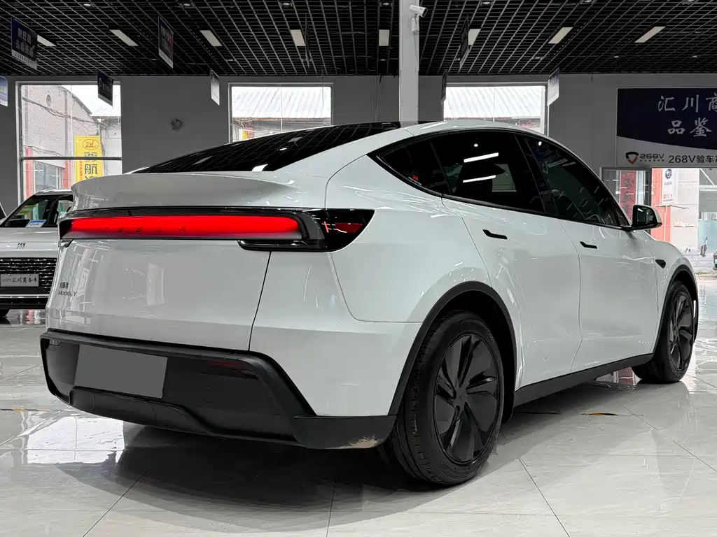 Tesla Model Y — фото 4