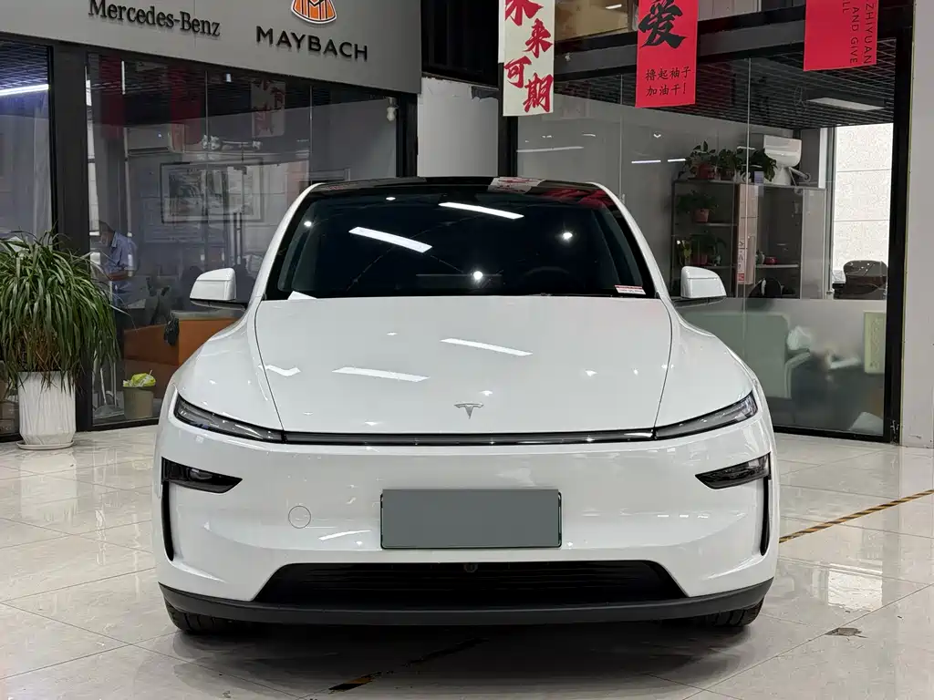 Tesla Model Y — фото 5