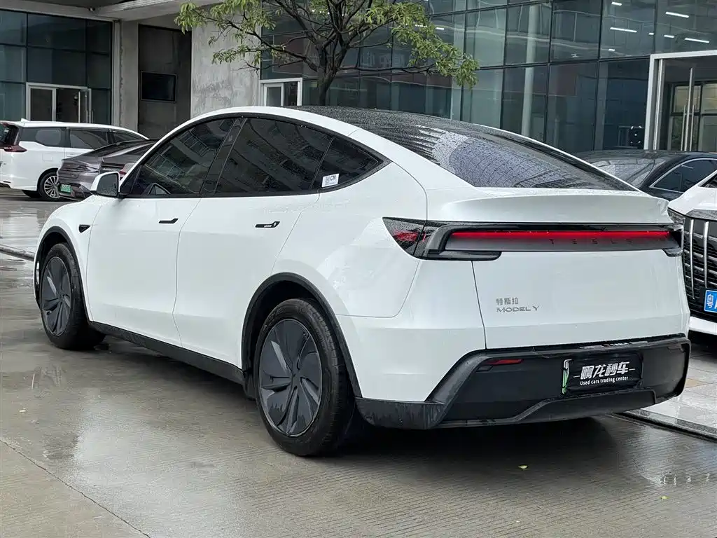 Tesla Model Y — фото 10