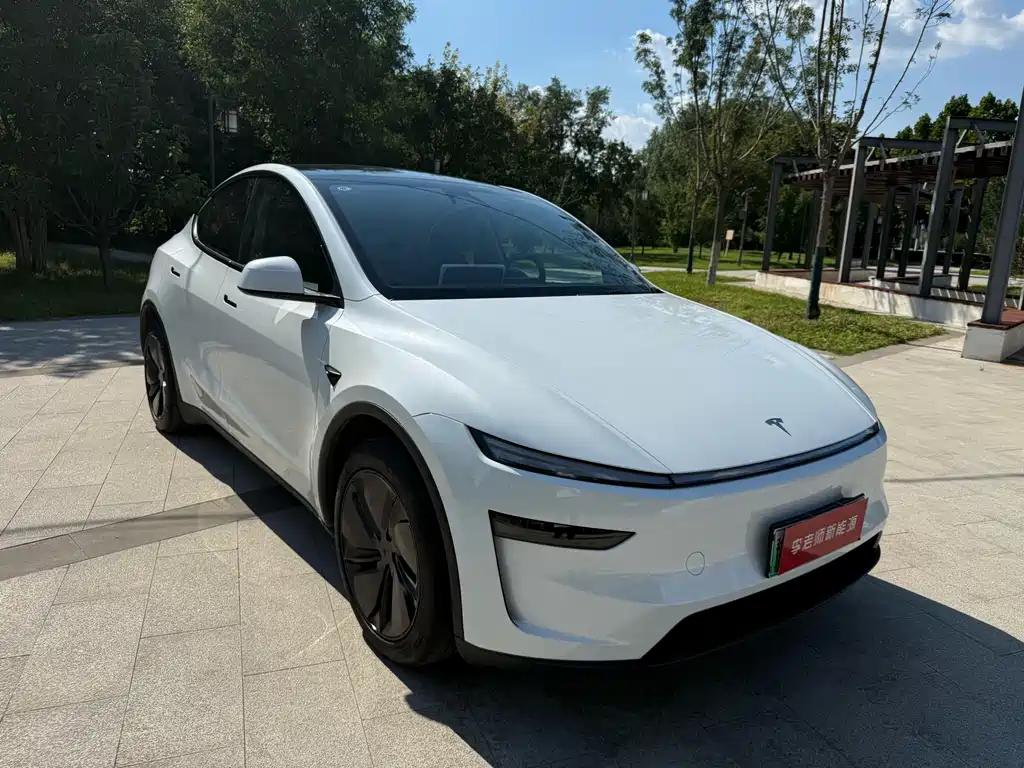 Tesla Model Y — фото 3