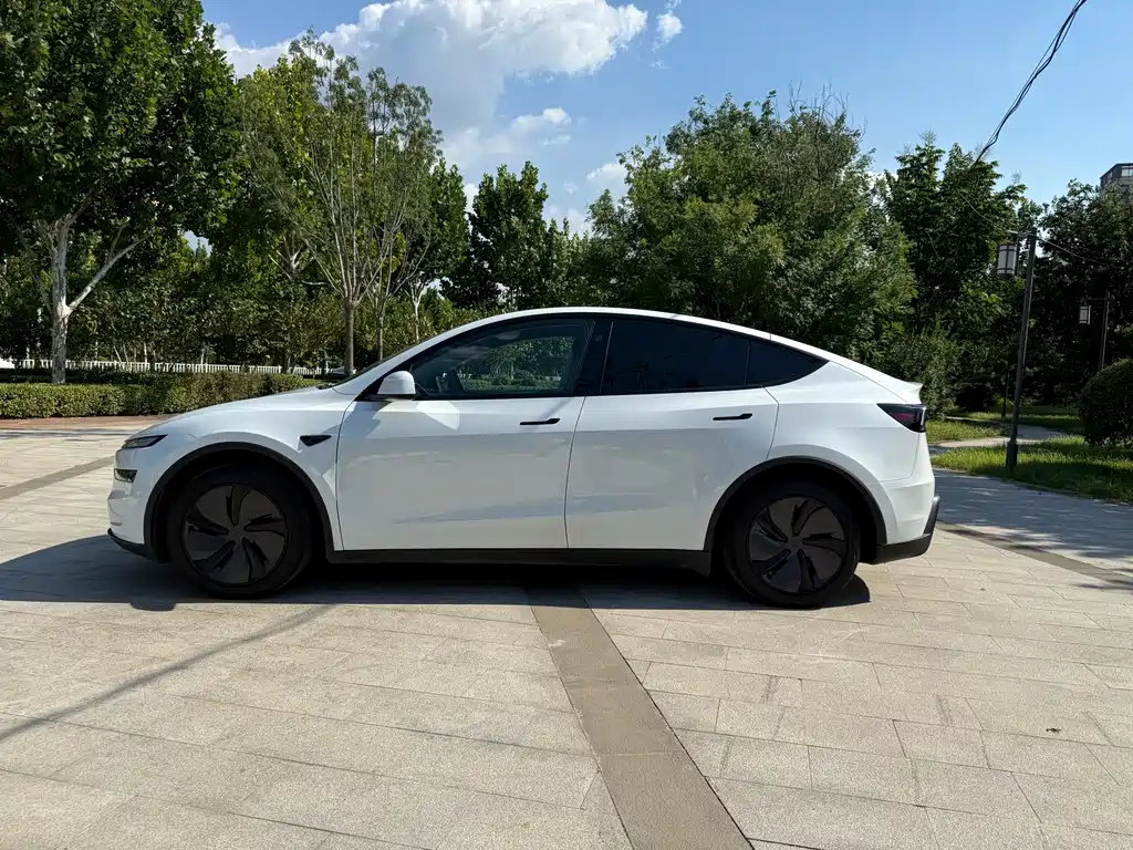 Tesla Model Y — фото 5