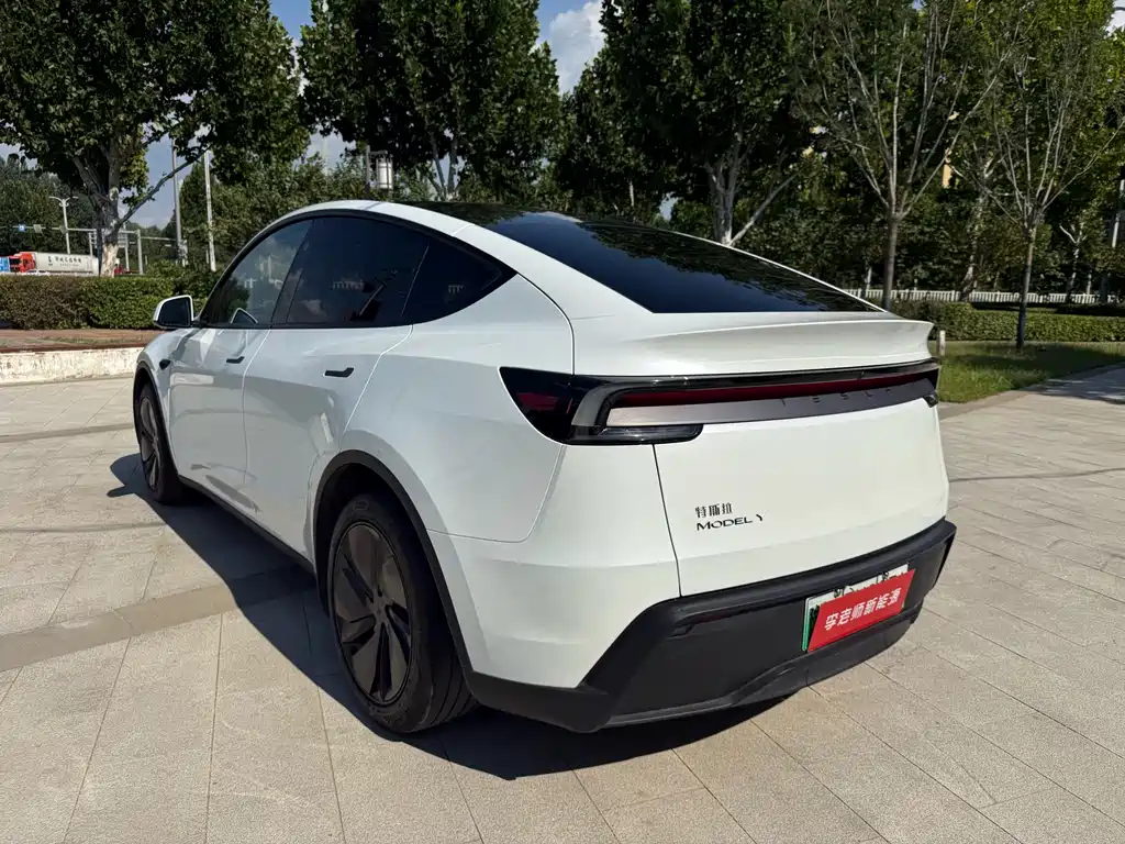 Tesla Model Y — фото 6