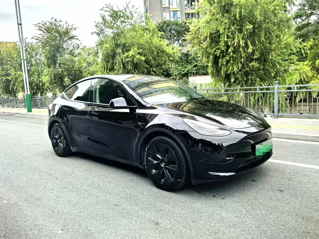 Tesla Model Y — фото 3