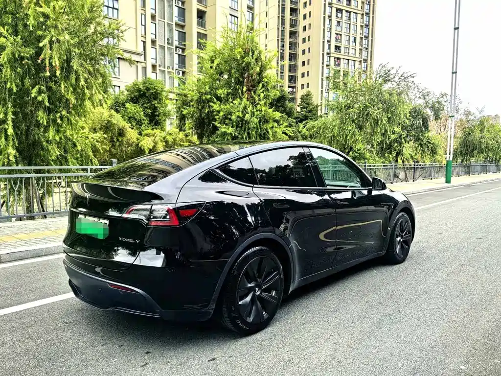 Tesla Model Y — фото 6