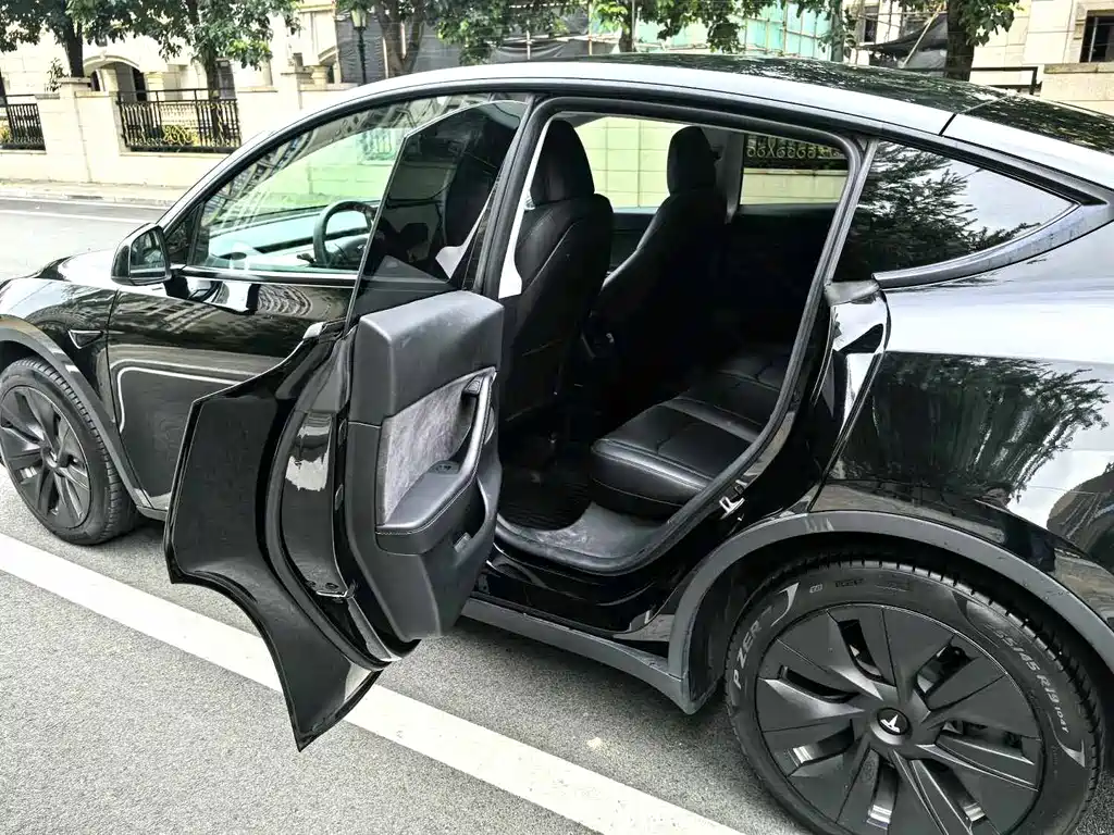 Tesla Model Y — фото 9