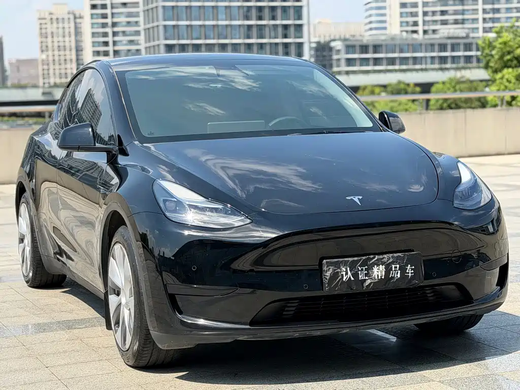 Tesla Model Y — фото 3