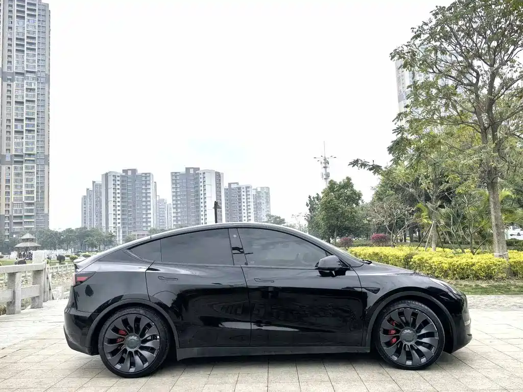 Tesla Model Y — фото 3