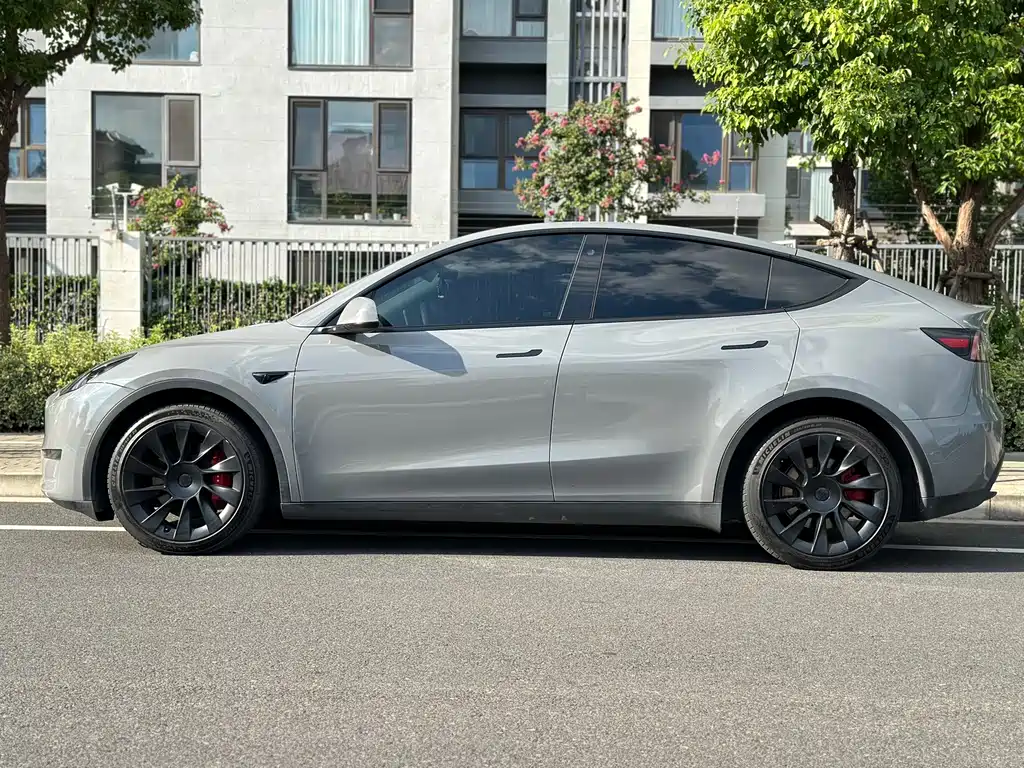 Tesla Model Y — фото 3