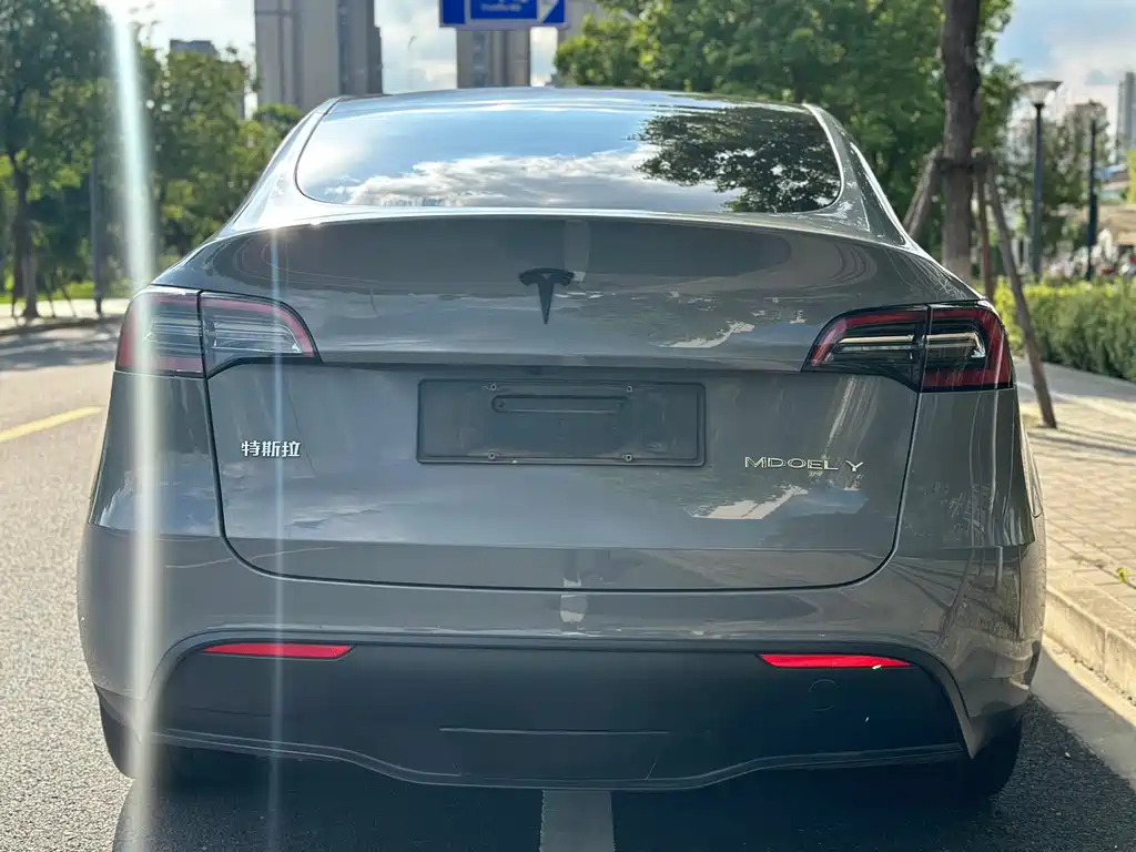 Tesla Model Y — фото 5