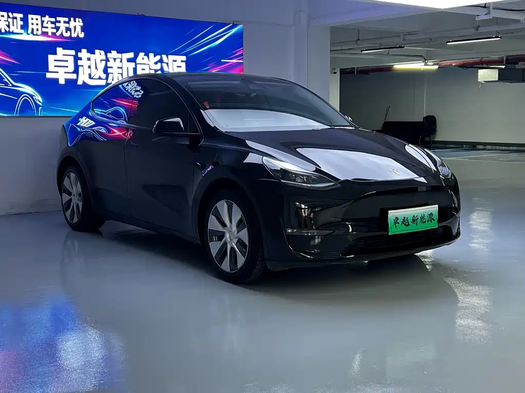 Tesla Model Y — фото 3
