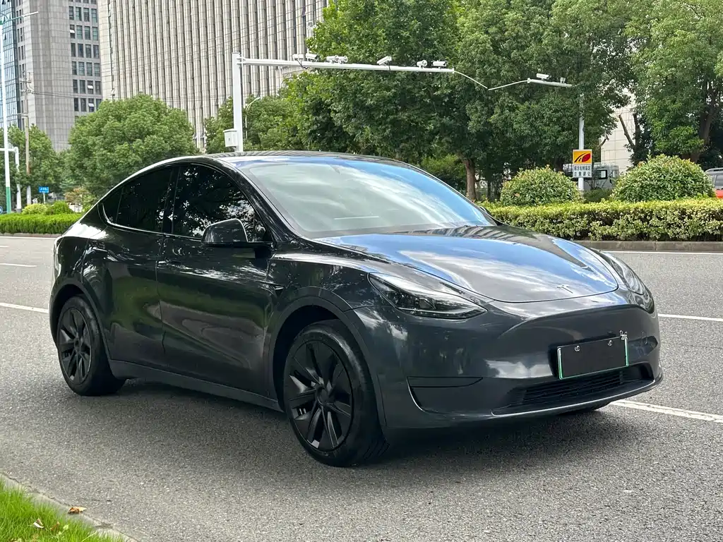 Tesla Model Y — фото 3