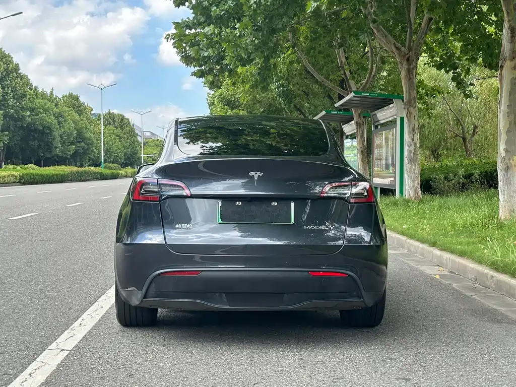 Tesla Model Y — фото 5