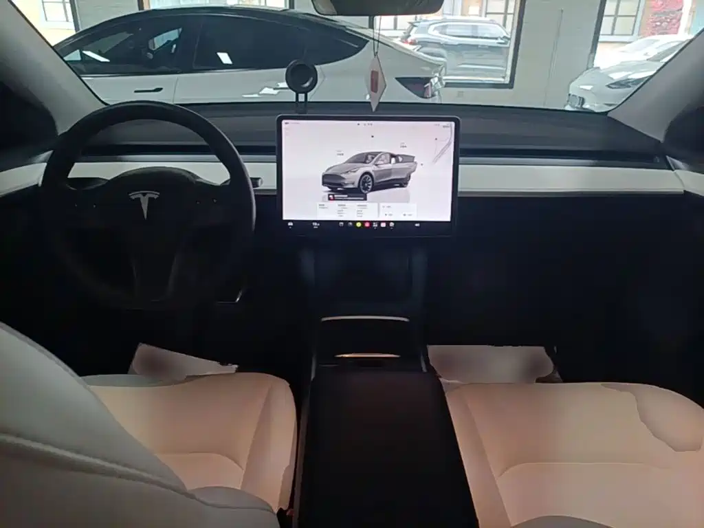 Tesla Model Y — фото 10