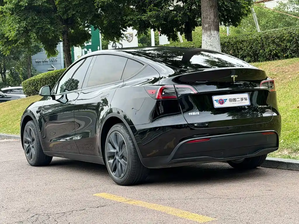 Tesla Model Y — фото 4