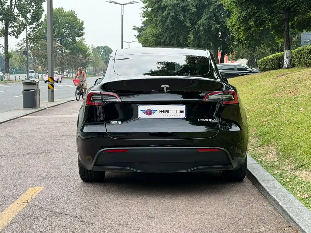 Tesla Model Y — фото 5