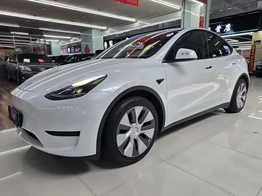 Tesla Model Y — фото 3