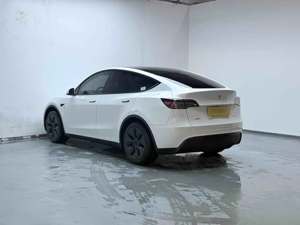 Tesla Model Y — фото 5