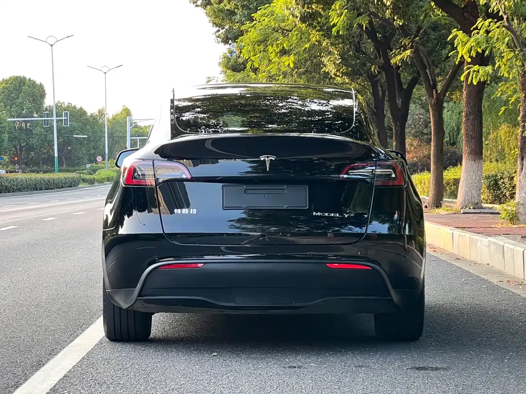 Tesla Model Y — фото 4