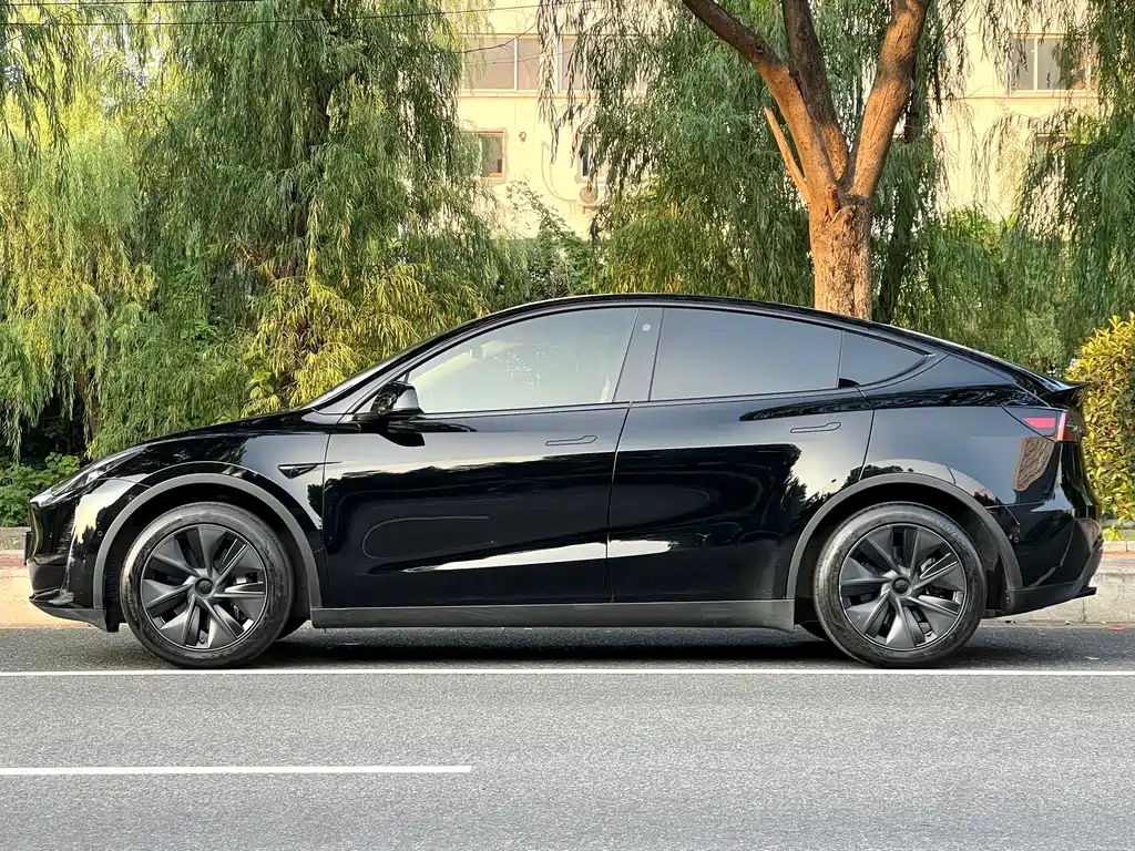 Tesla Model Y — фото 5