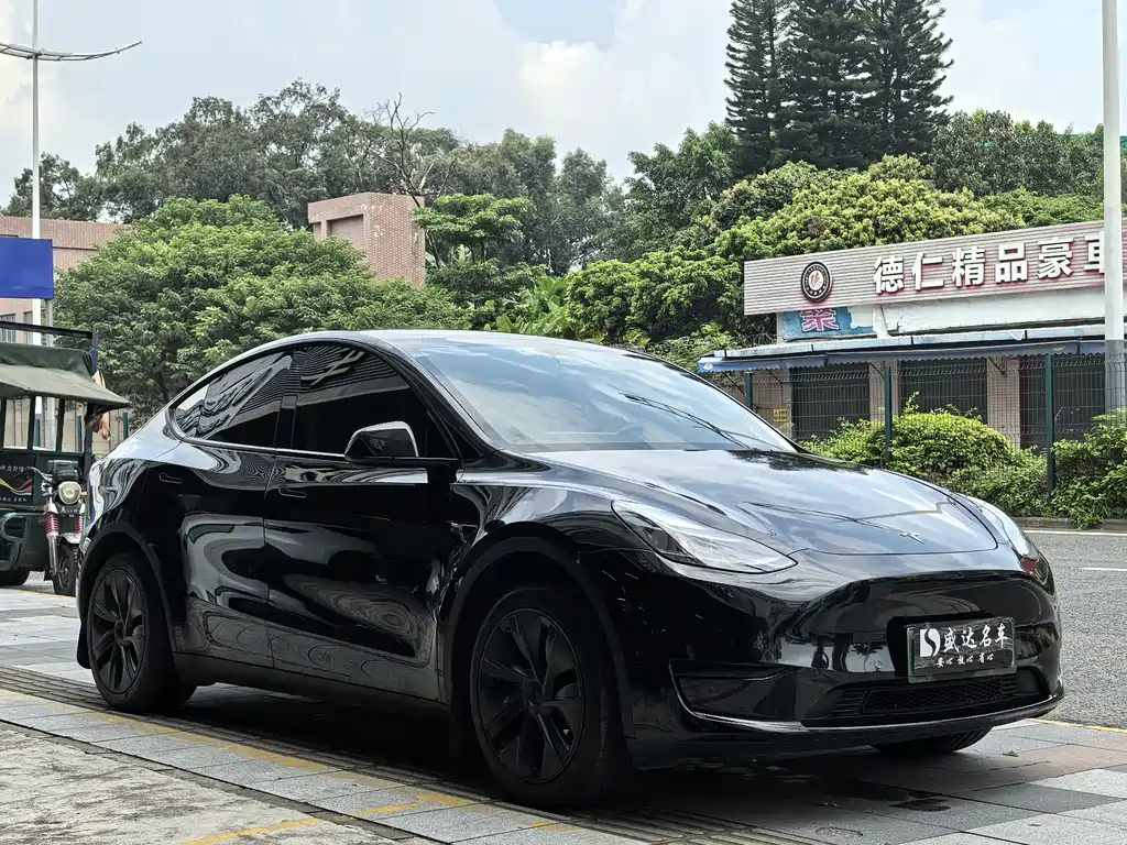 Tesla Model Y — фото 3