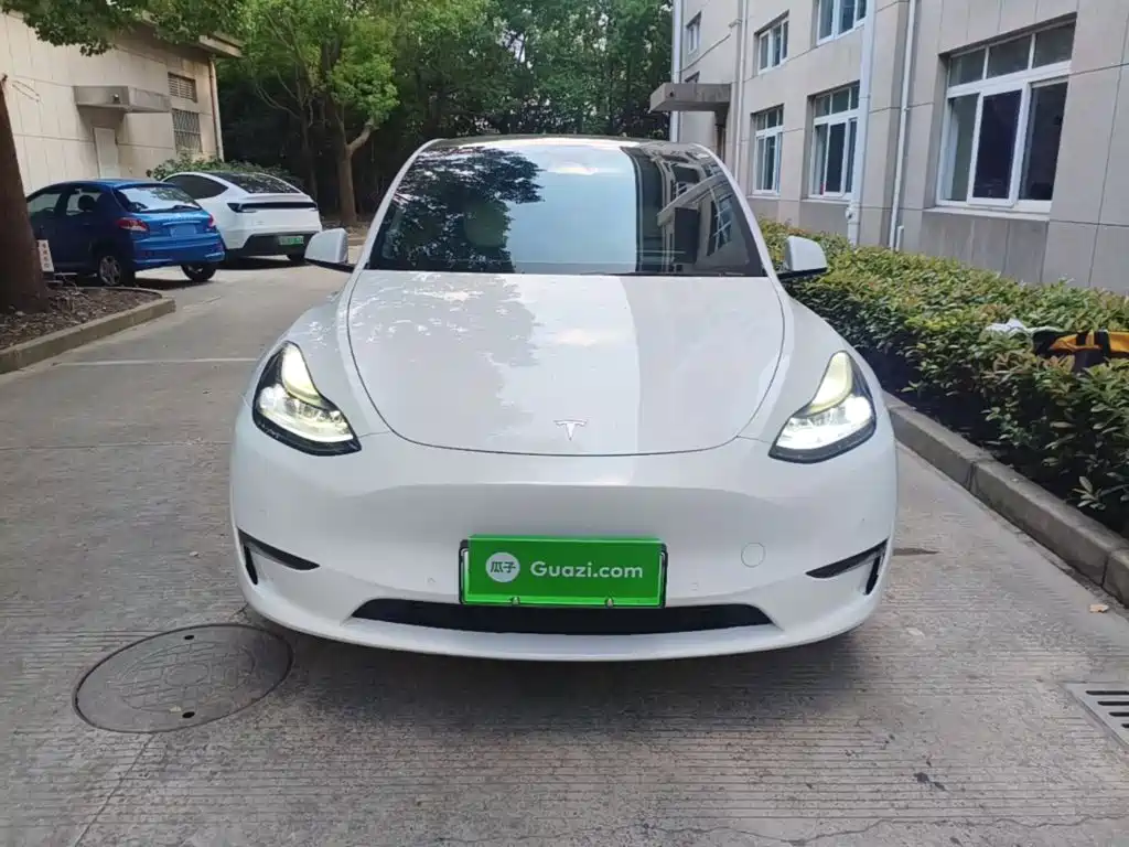 Tesla Model Y — фото 3