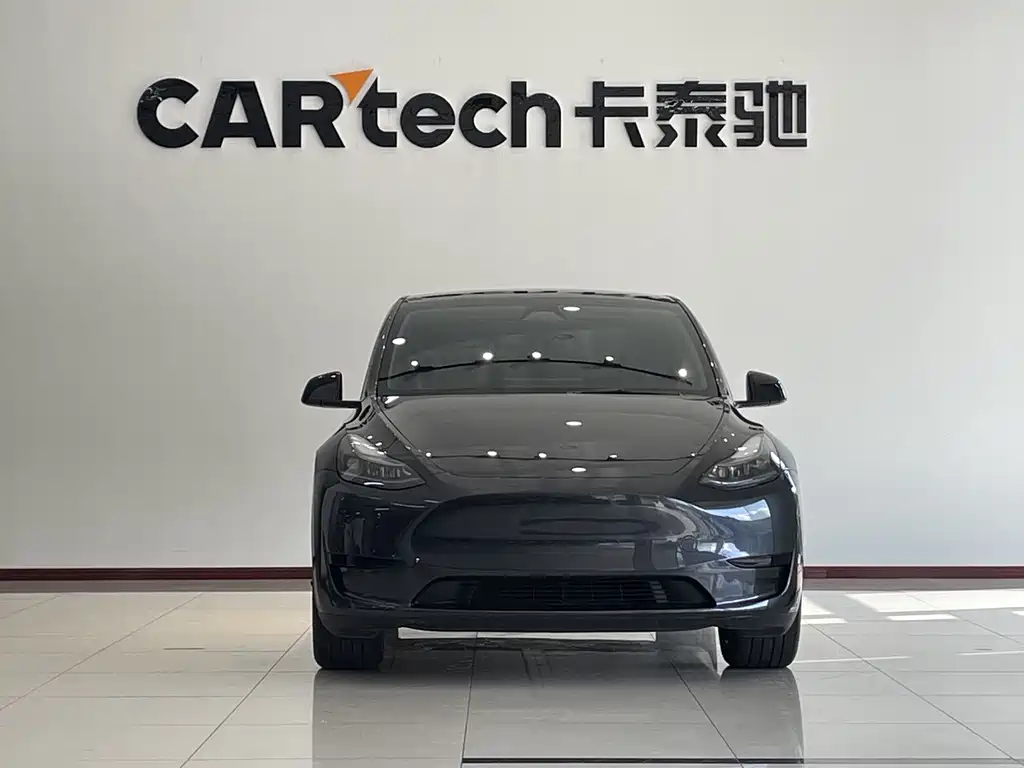 Tesla Model Y — фото 3