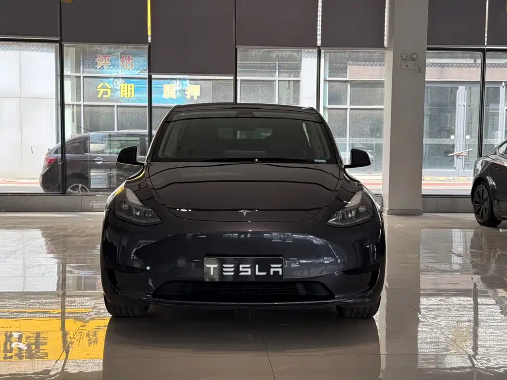 Tesla Model Y — фото 2