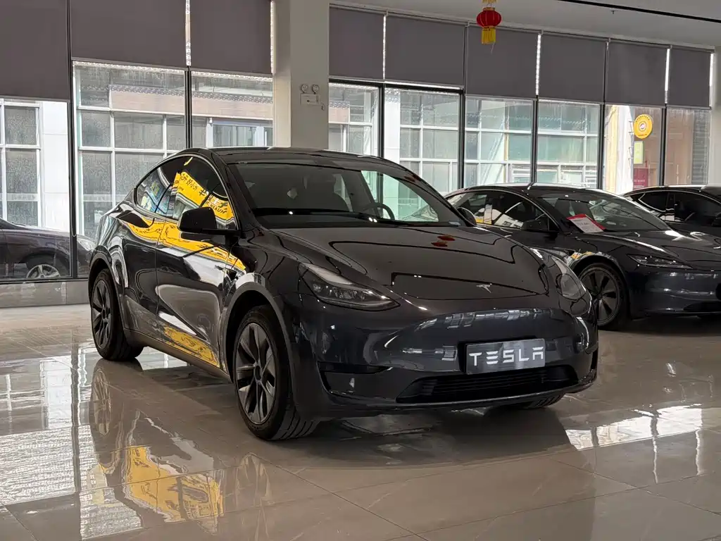 Tesla Model Y — фото 3