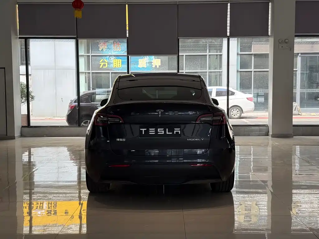 Tesla Model Y — фото 8