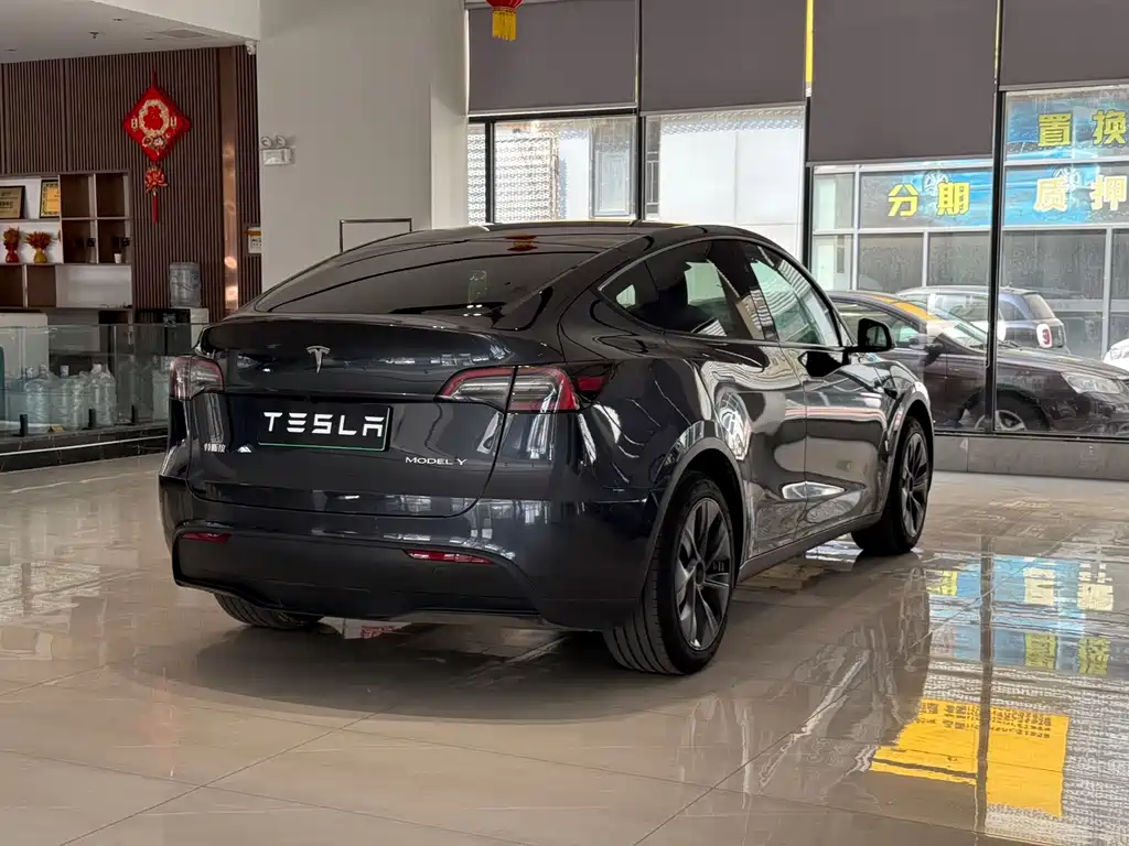 Tesla Model Y — фото 9