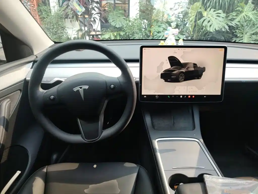 Tesla Model Y — фото 11