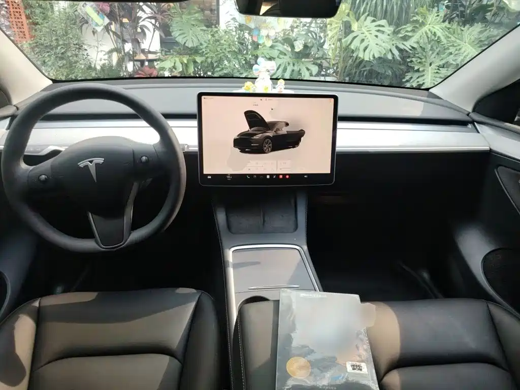Tesla Model Y — фото 10