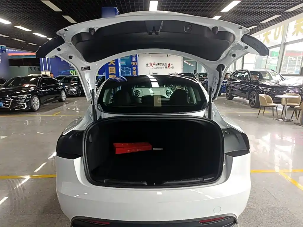 Tesla Model 3 — фото 19