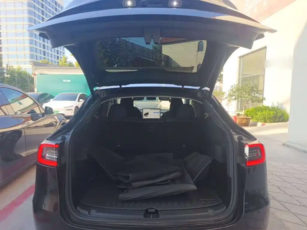 Tesla Model Y — фото 19