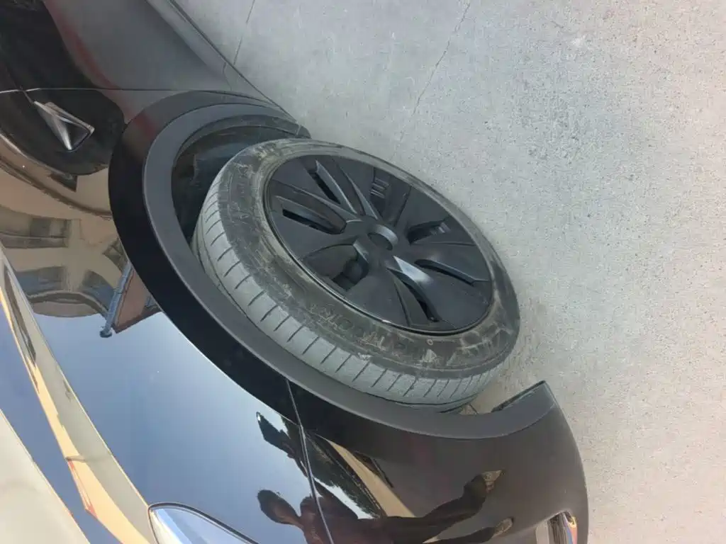 Tesla Model Y — фото 23