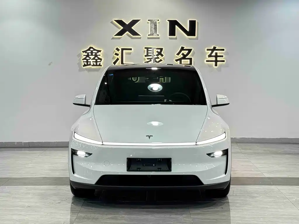 Tesla Model Y — фото 2