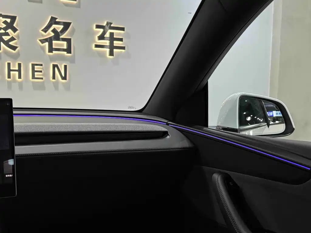 Tesla Model Y — фото 13