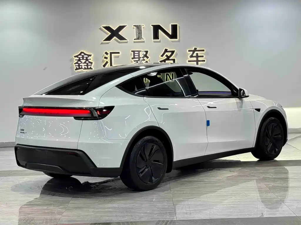 Tesla Model Y — фото 6