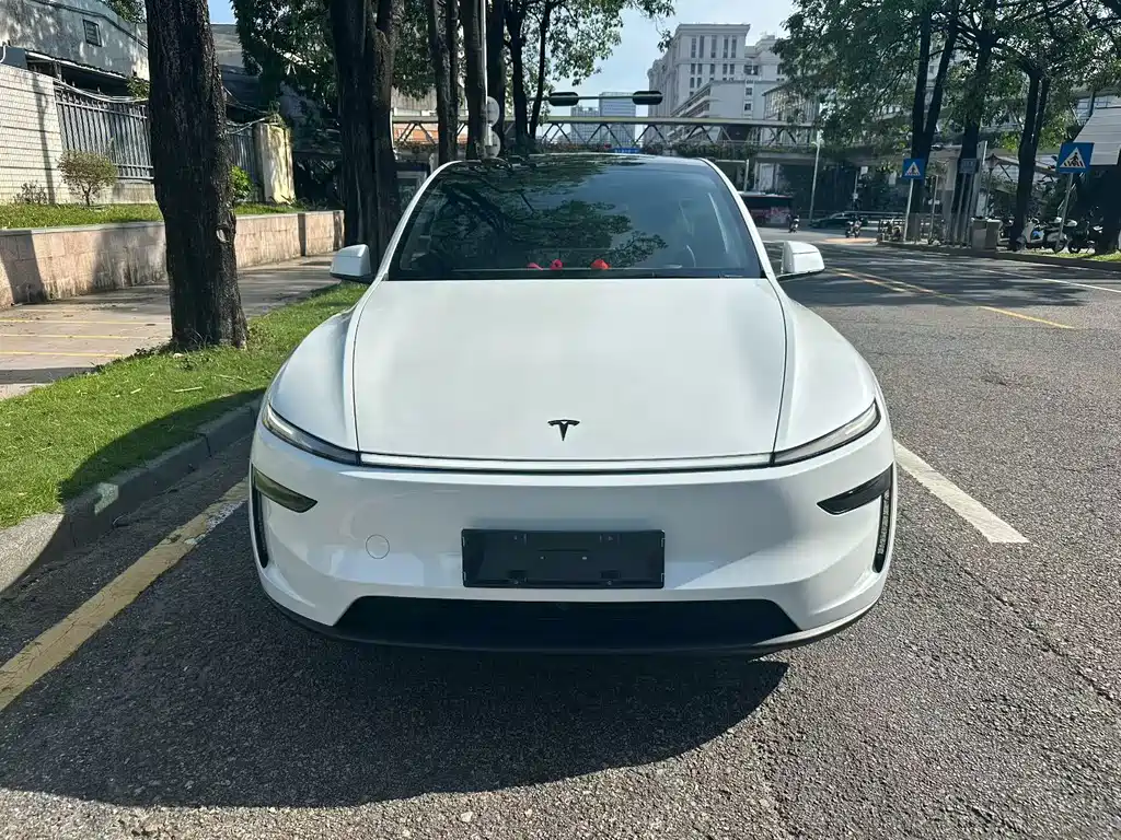 Tesla Model Y — фото 2