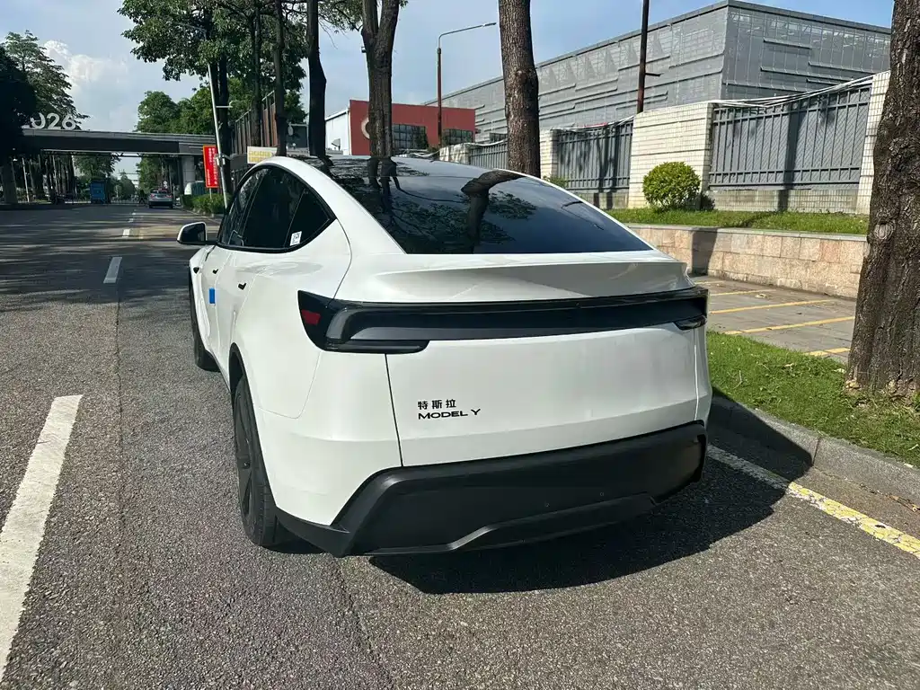 Tesla Model Y — фото 7