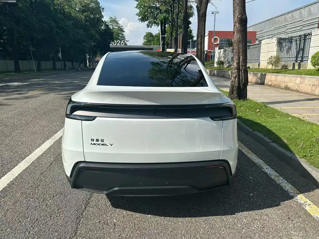 Tesla Model Y — фото 8