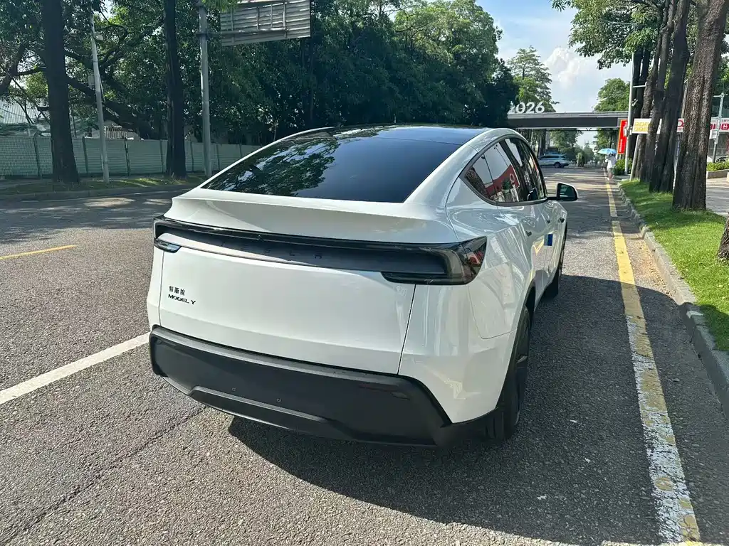 Tesla Model Y — фото 9