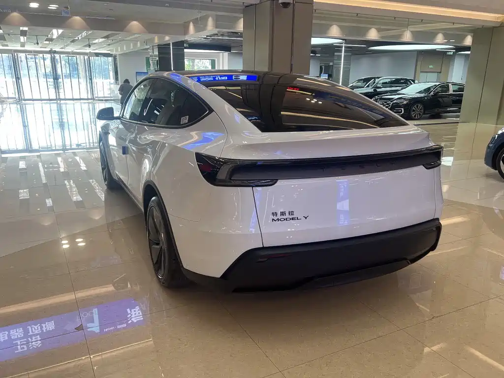 Tesla Model Y — фото 3