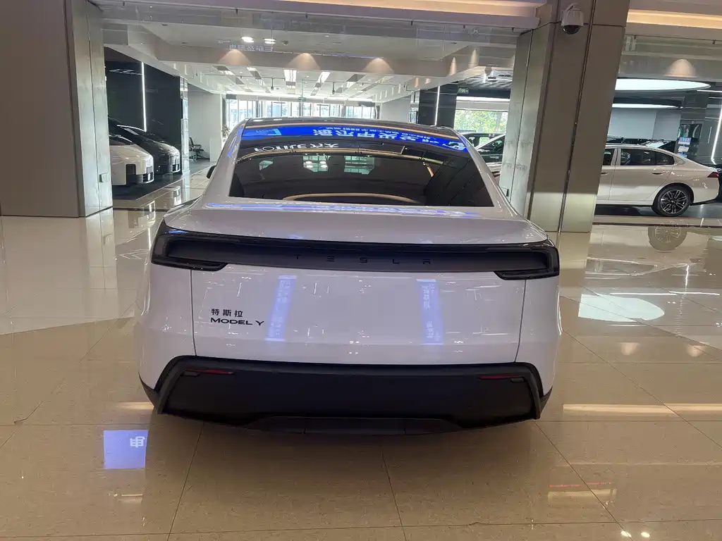Tesla Model Y — фото 6