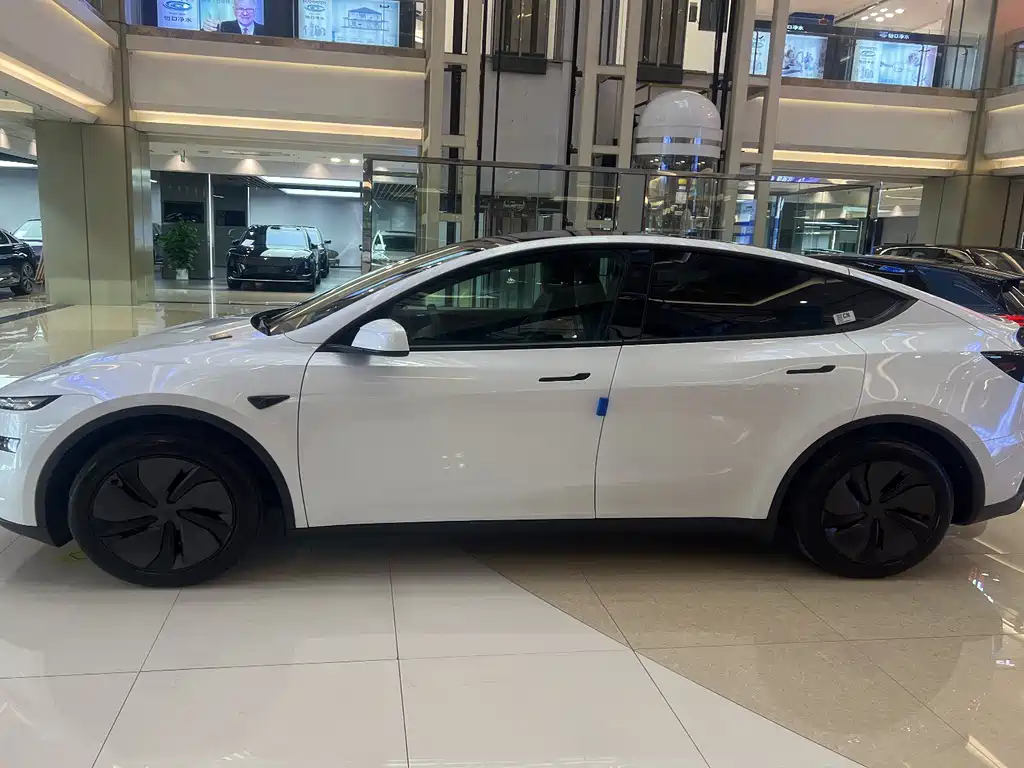 Tesla Model Y — фото 10